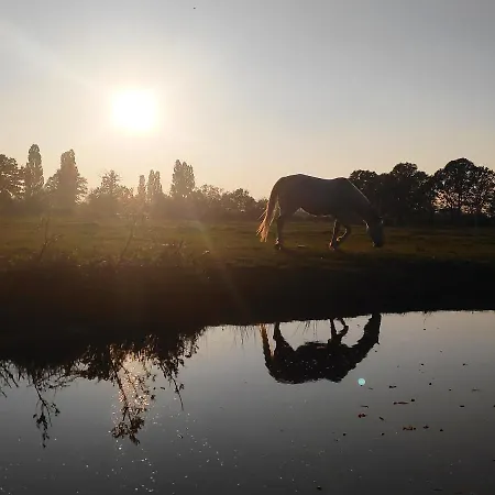 بيت للعطل Du Bien Etre