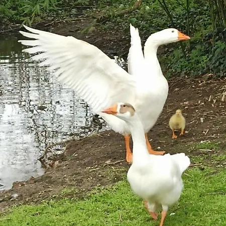 بيت للعطل Du Bien Etre