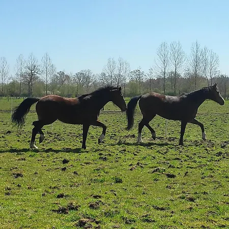 Du Bien Etre Hodeng-Hodenger